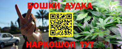 гидра Кандалакша