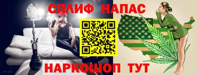 гидра Кандалакша