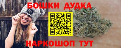 гидра Кандалакша
