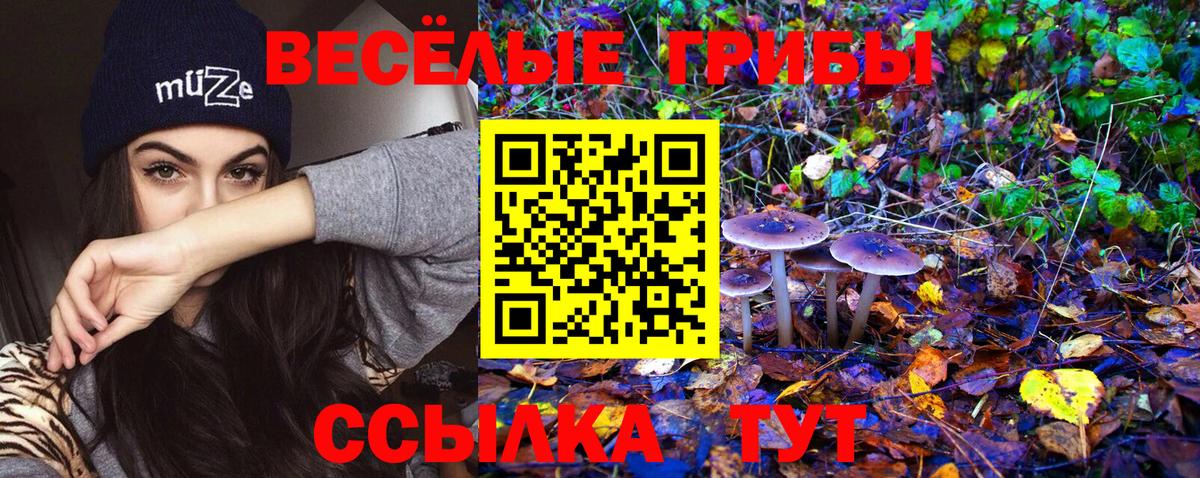 Лангепас  Псилоцибиновые грибы MAGIC MUSHROOMS  Вход с VPN 